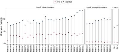 Increased Catalase Activity and Maintenance of Photosystem II Distinguishes High-Yield Mutants From Low-Yield Mutants of Rice var. Nagina22 Under Low-Phosphorus Stress